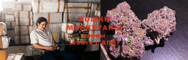 МДПВ Карпинск