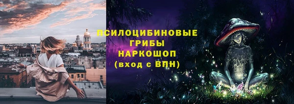 бошки Касимов