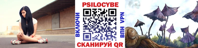 Купить где  Тара  Галлюциногенные грибы MAGIC MUSHROOMS 